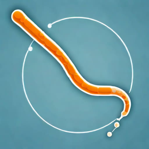 Sodium Reabsorption In Proximal Tubule