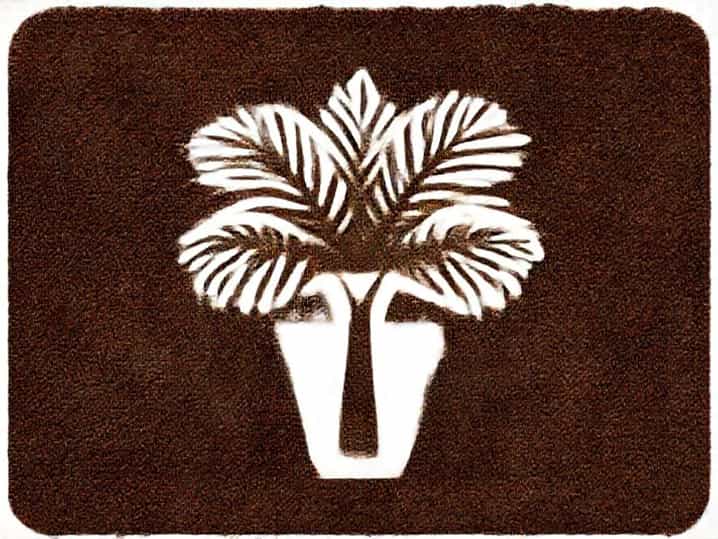 Soil For Majesty Palm