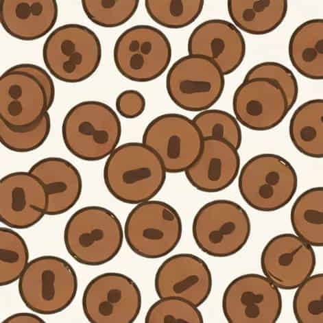 Standard Semisweet Chocolate Chips