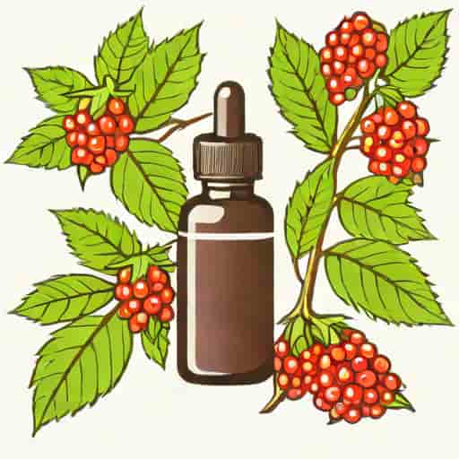 Uses Of Phytolacca Berry Mother Tincture