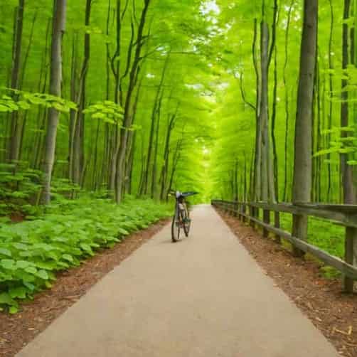 Virginia Creeper Bike Trail