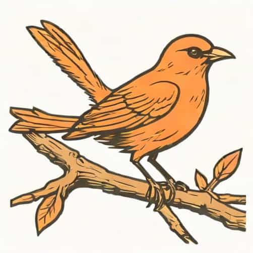 What Are Scavenger Birds