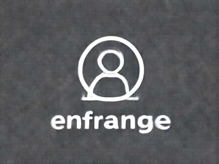 What Does Enfranchise Mean