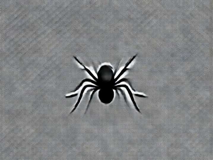 What Is Anopheles Stephensi