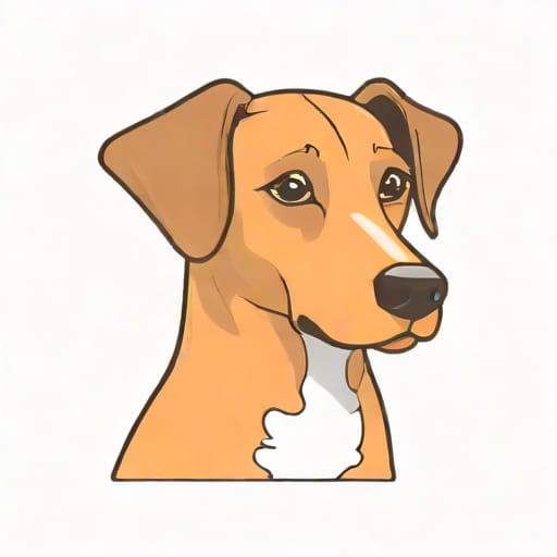 What Is The Life Span Of A Dog