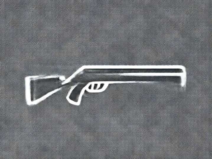 X Shot Pellet Gun