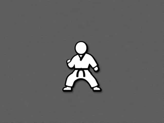Zac Wang Karate Kid