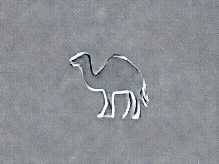 Camel Rbc Shape Biconcave