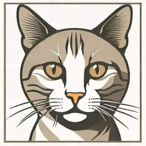 Feline Behaviorist Near Me