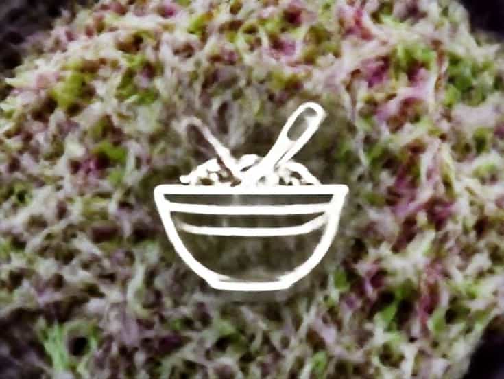 How To Make Coleslaw