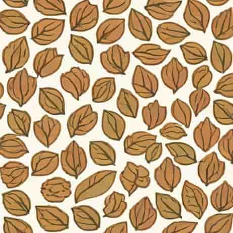Is Ajwain Carom Seeds