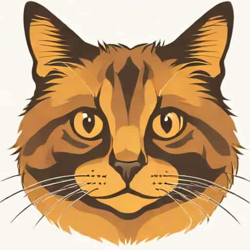 Long Hair Tortoiseshell Cat
