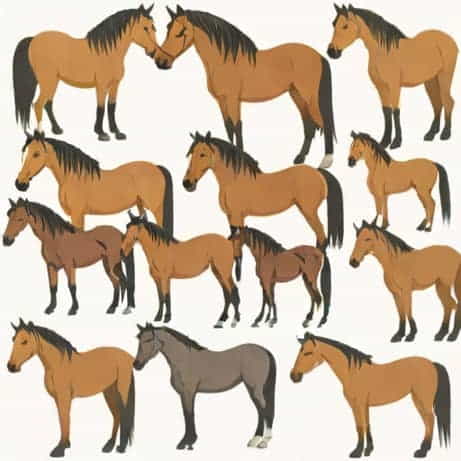 Names For Andalusian Horses