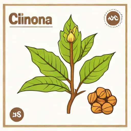 Natural Alkaloid Obtained From Cinchona Is
