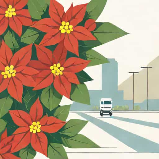 North Port Poinsettia Parade