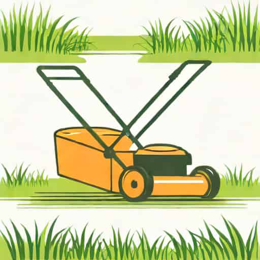 Petrol Lawnmower With Roller