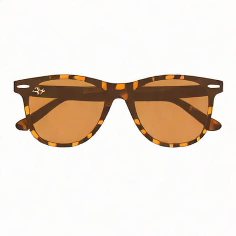 Ray Ban Tortoiseshell Sunglasses