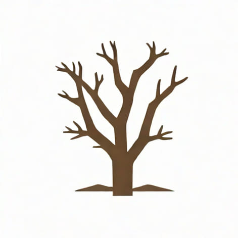 Root Word Of Lacerate