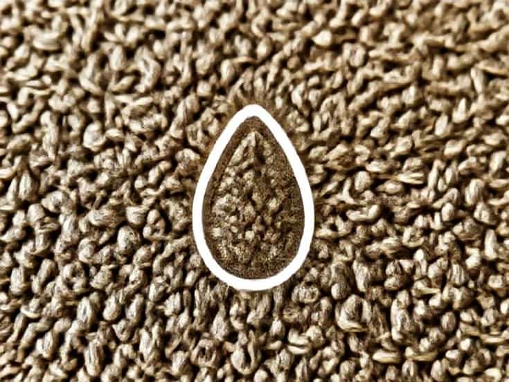 Vitamins In Carom Seeds