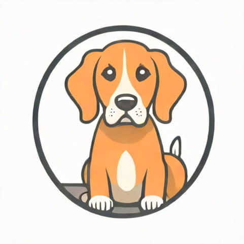 What Are Dogmatic Beliefs