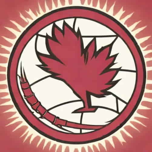 Women'S South Carolina Basketball