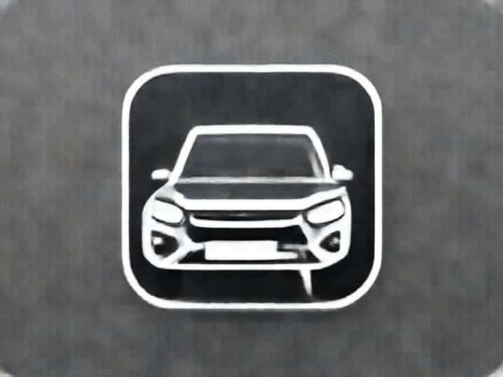 Xuv 300 W8 Optional