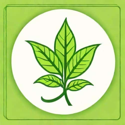 Zyrtec For Poison Ivy