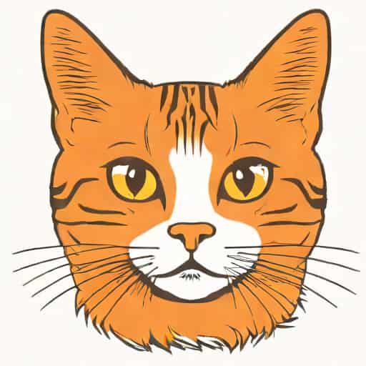 American Wirehair Orange