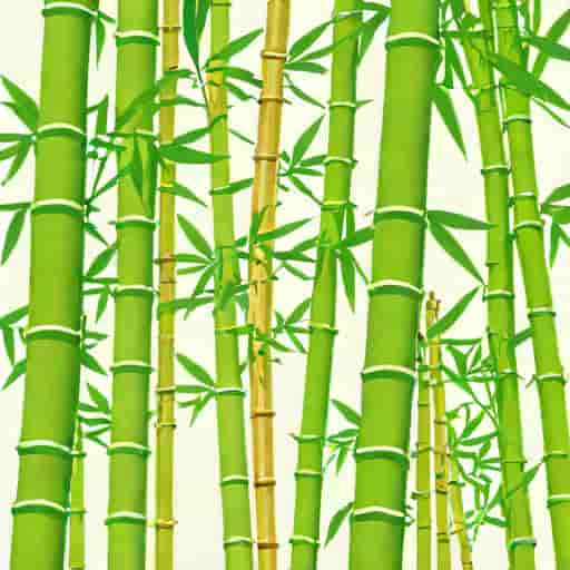 Bamboo Ecologic Export Philippines Inc