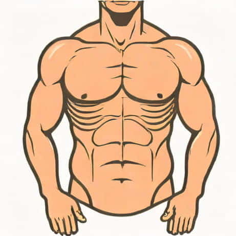 Can You Bruise Your Ribs