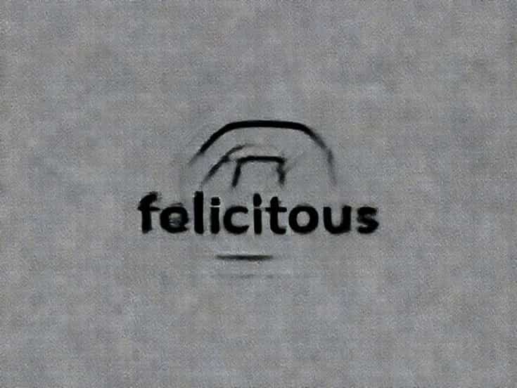 Define The Word Felicitous