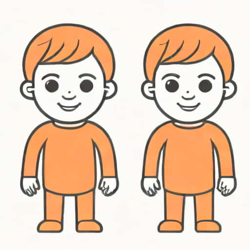 Fraternal And Identical Twins