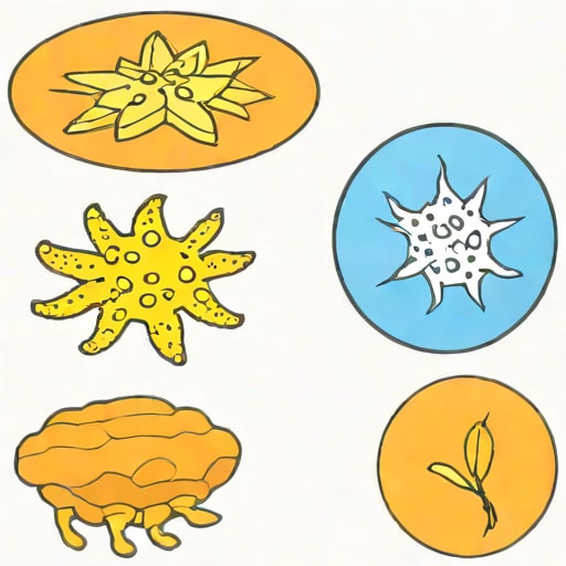 Give Two Examples Of Protozoa