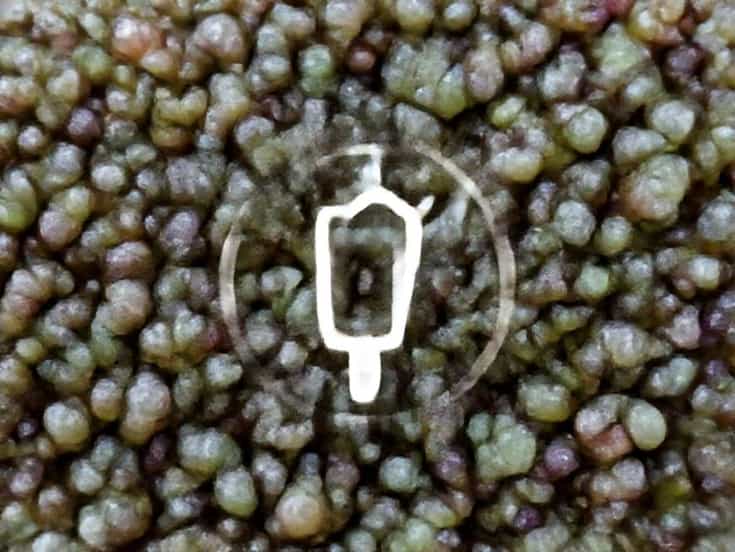 How To Charge Carnelian