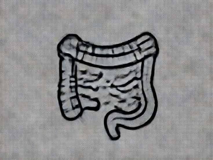 How To Detoxify Gut