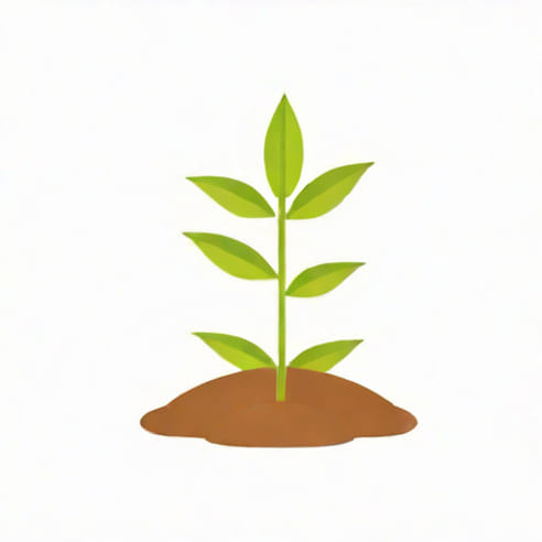 Introduction Of Seed Germination