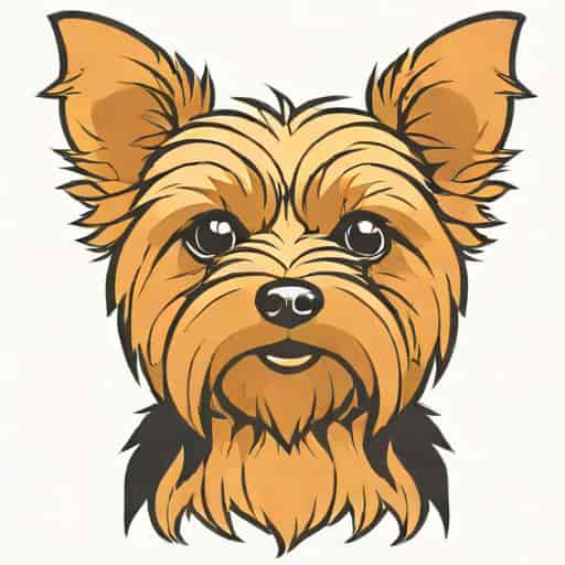 Is A Yorkie A Terrier
