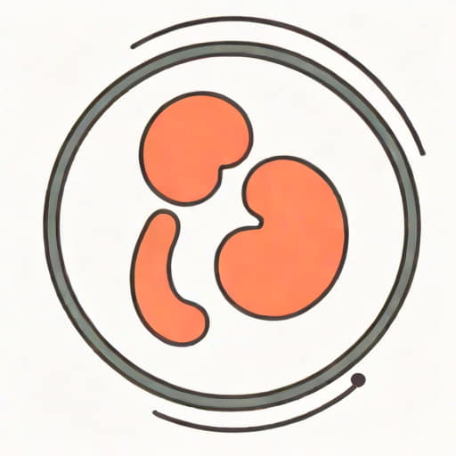 Kidney Dilation In Fetus