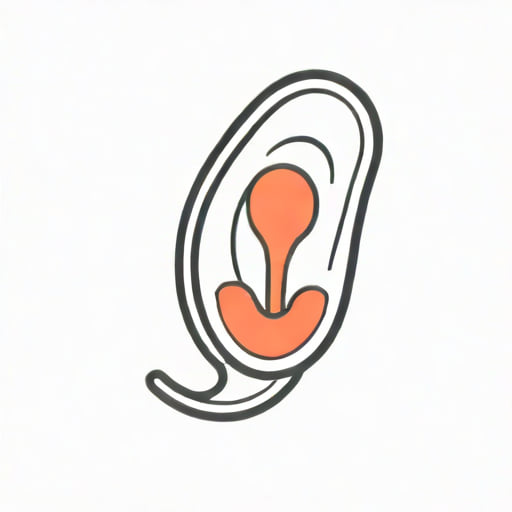 Kidney Dilation In Newborn