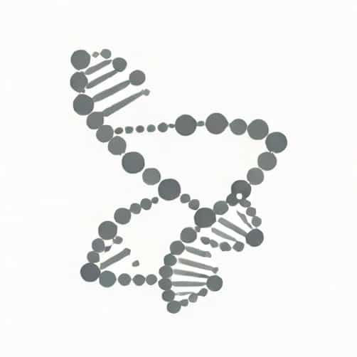 Rna Different From Dna