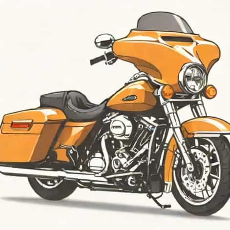 Street Glide Sissy Bar