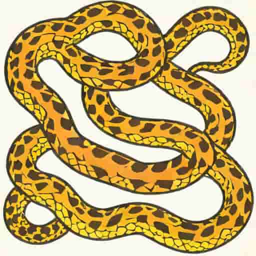 What Is A Brood Of Vipers