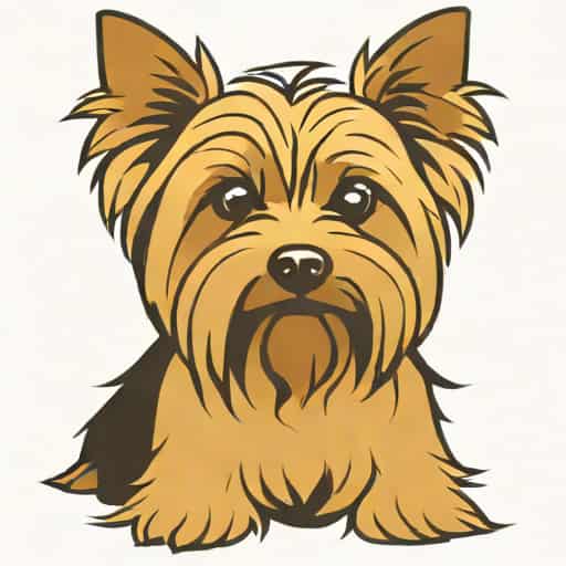 Yorkshire Terrier Cost