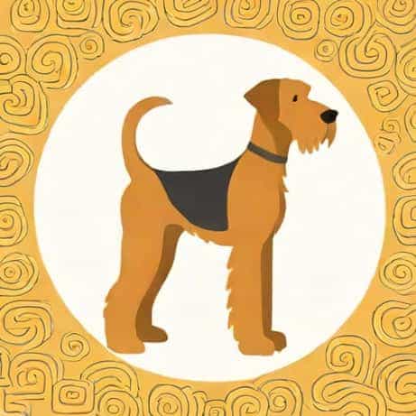 Airedale Rescue New York