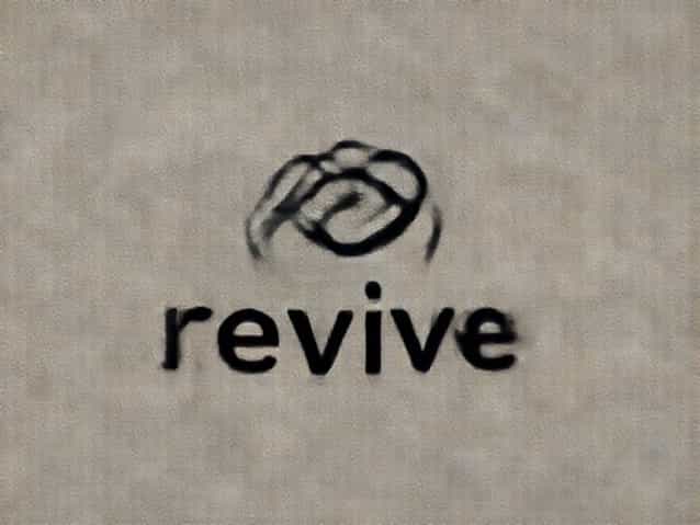 Another Word For Revive