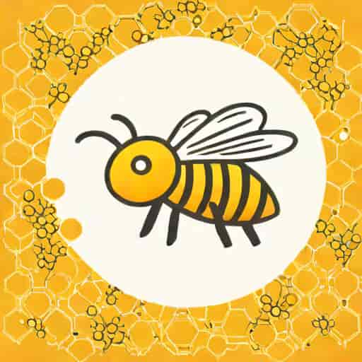 Bee Network Concessionary Bus Pass