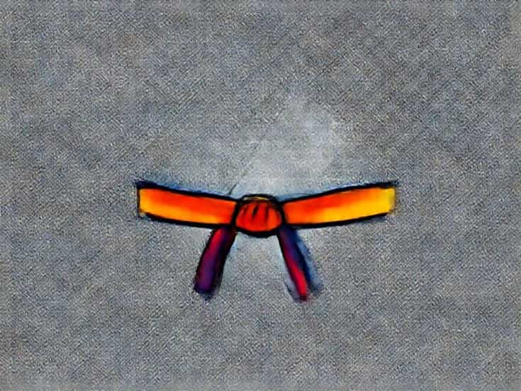 Belt Colors In Karate