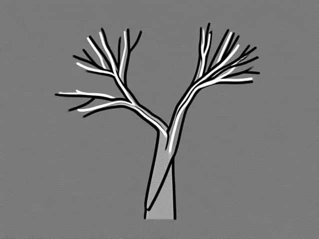 Branches Of Maxillary Artery