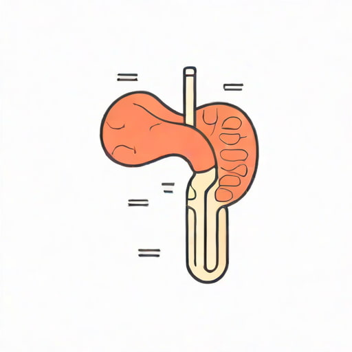 Cavity Extend To Bronchus Meaning