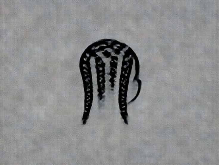 Cornrows And Box Braids